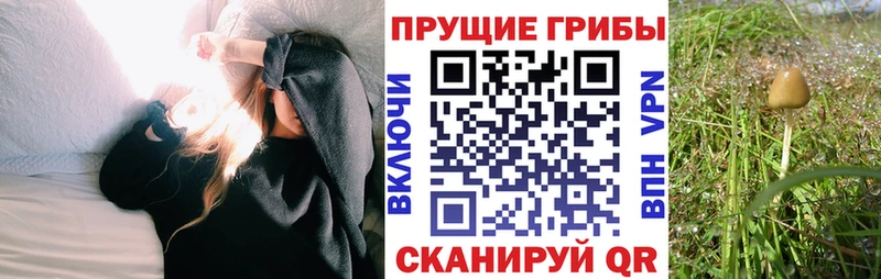 Псилоцибиновые грибы ЛСД  Суоярви 